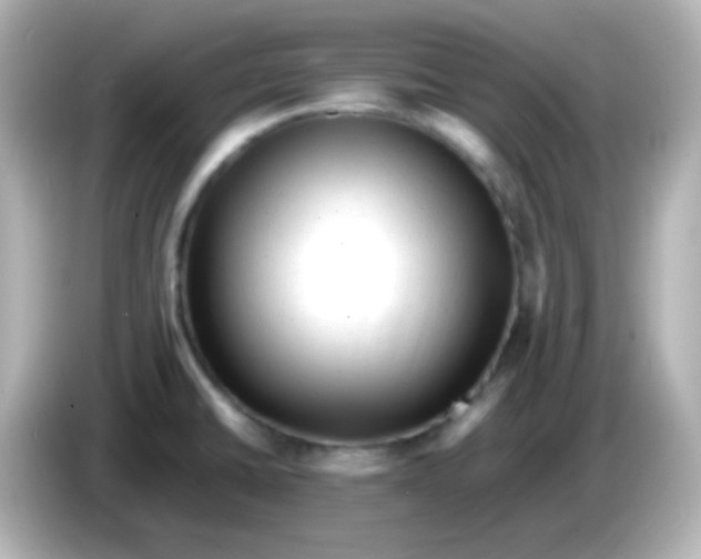 X0000086061430200704091219