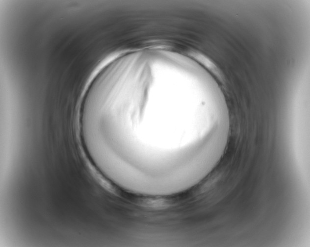 X0000086061431200704091219