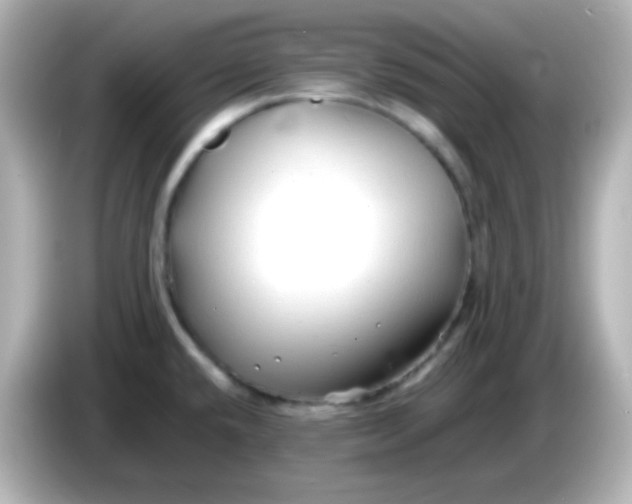 X0000086061432200704091219