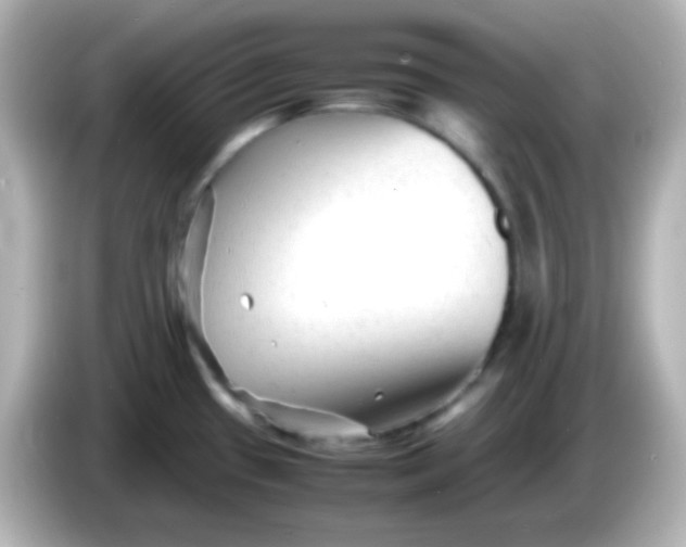 X0000086061433200704091219