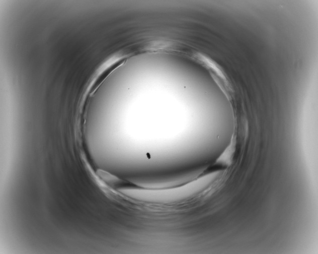 X0000086061434200704091219