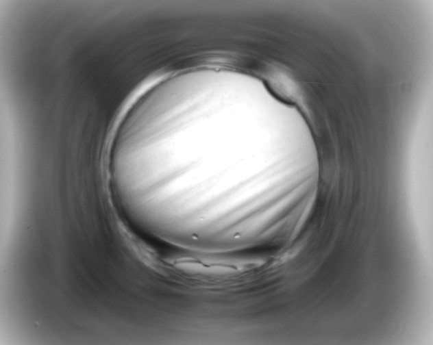 X0000086061435200704091219