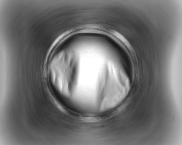 X0000086061436200704091219