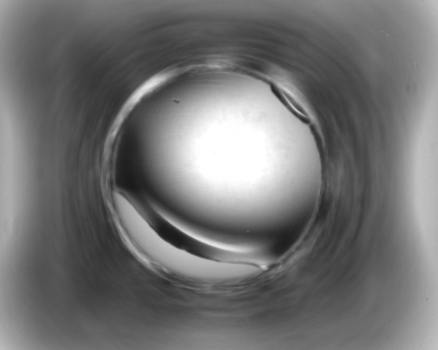 X0000086061437200704091219