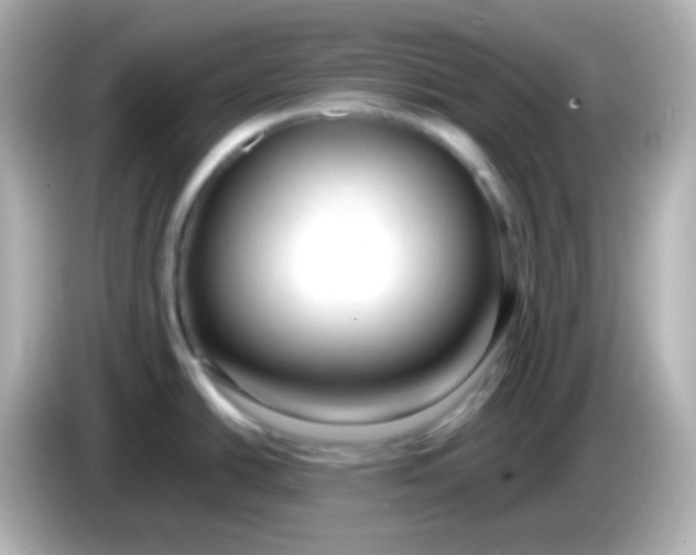 X0000086061438200704091219