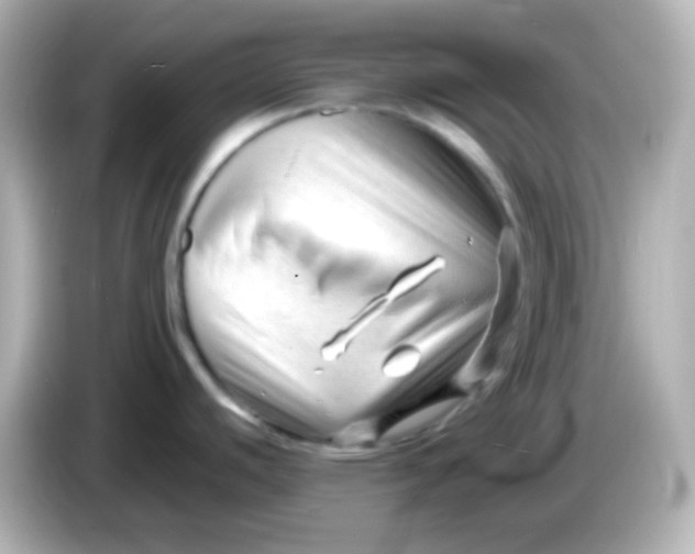 X0000086061440200704091220