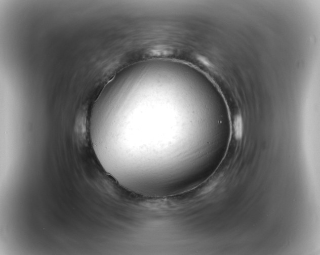 X0000086061444200704091219