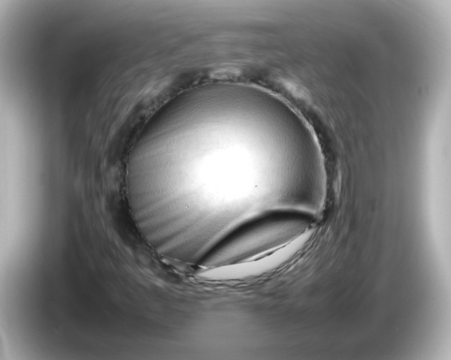 X0000086061445200704091219