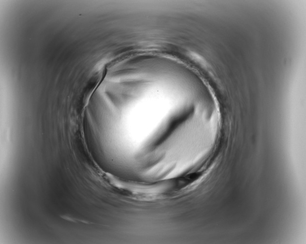 X0000086061449200704091219