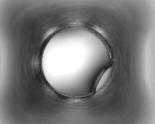 X0000086061450200704091219