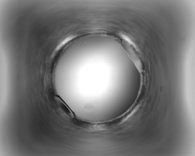 X0000086061453200704091219