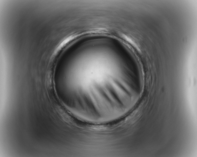 X0000086061455200704091219