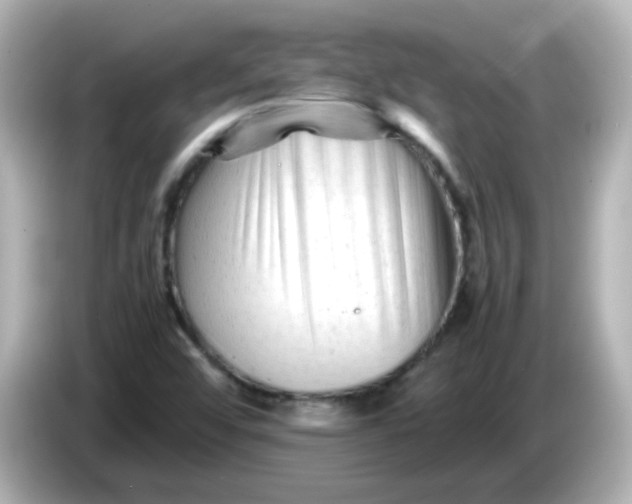 X0000086061456200704091219