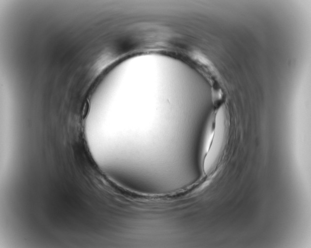 X0000086061457200704091219