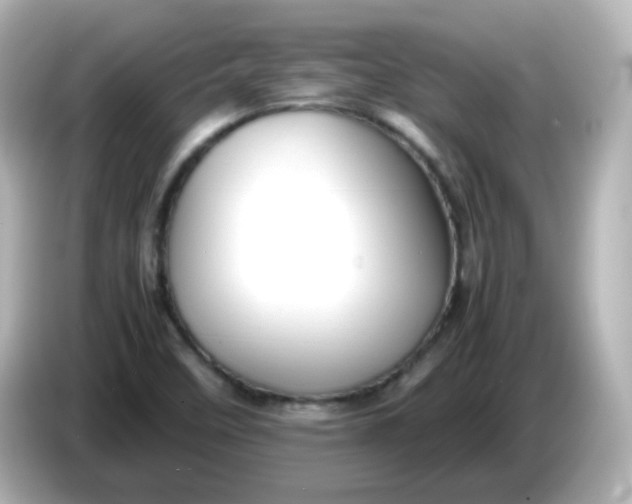 X0000086061458200704091219