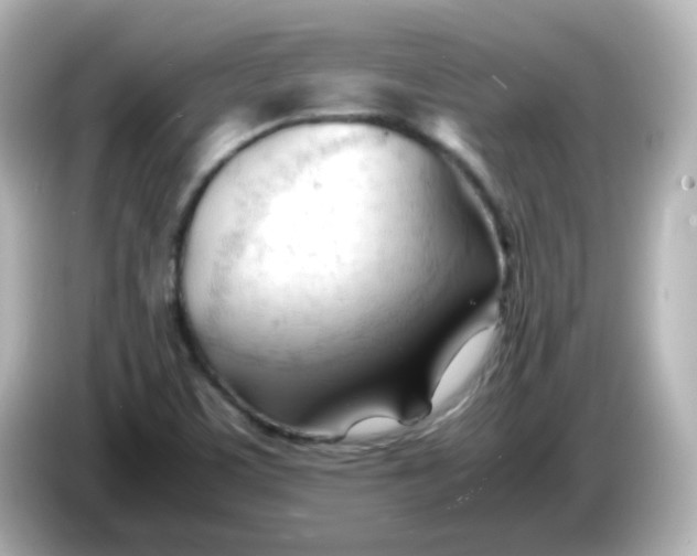 X0000086061459200704091219