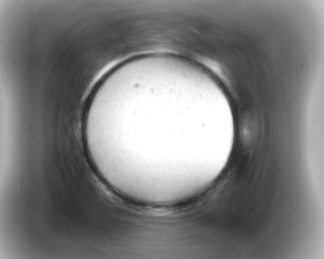 X0000086061460200704091219