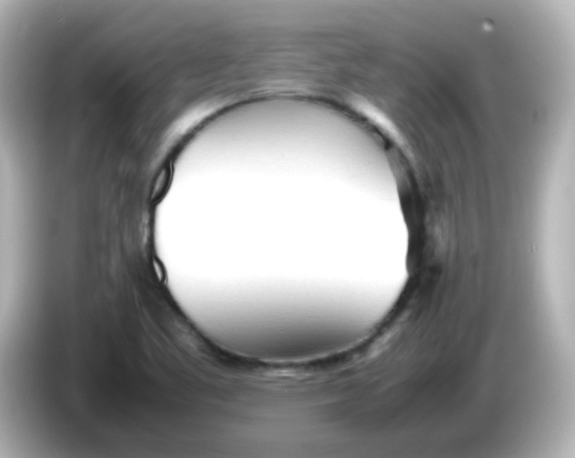 X0000086061461200704091219