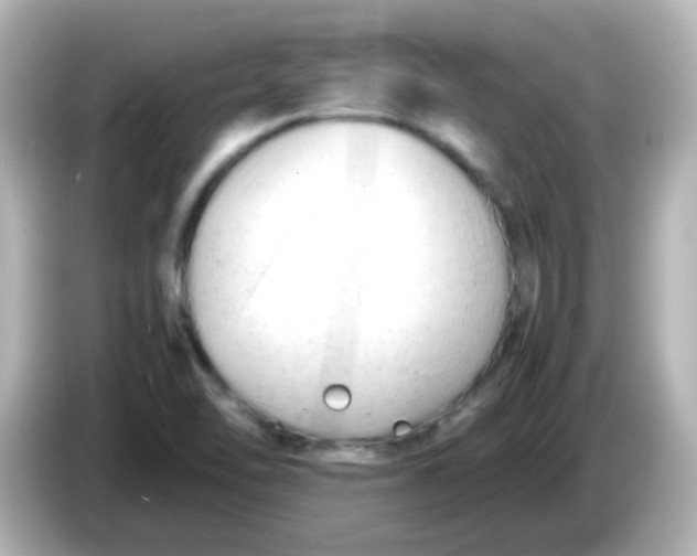 X0000086061462200704091219