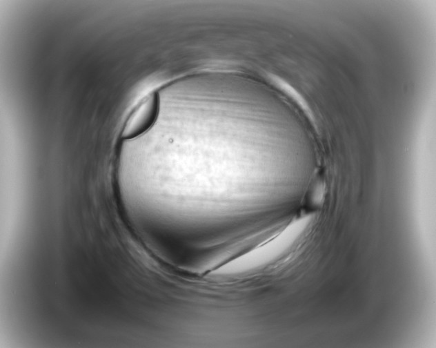 X0000086061463200704091219