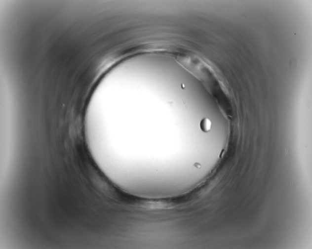 X0000086061465200704091219