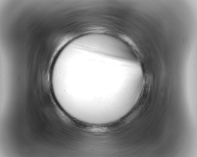 X0000086061466200704091219