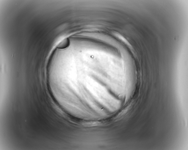 X0000086061467200704091219