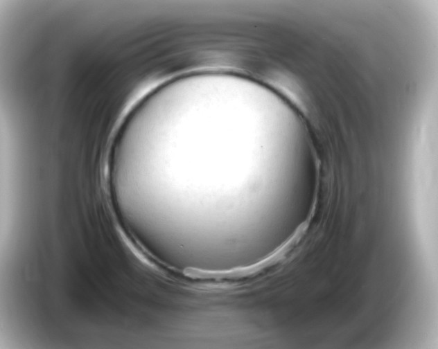 X0000086061468200704091219