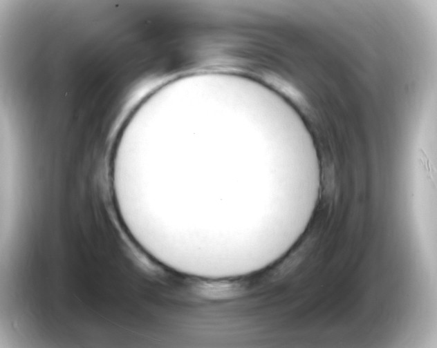 X0000086061470200704091219