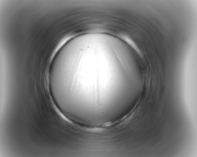 X0000086061476200704091219