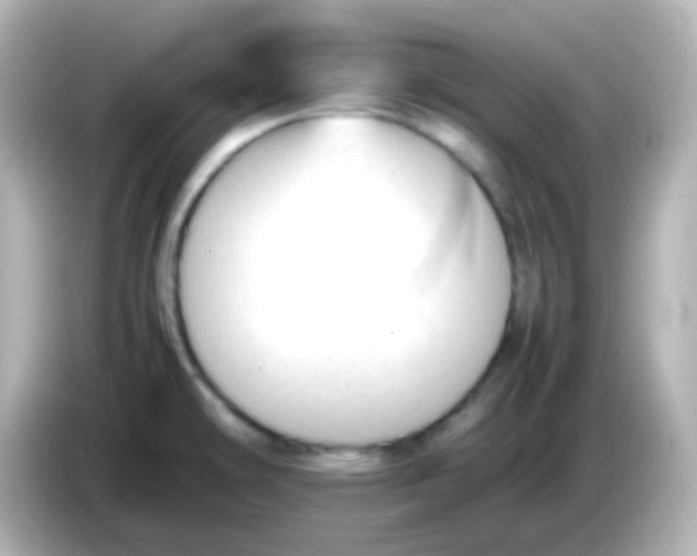 X0000086061478200704091219