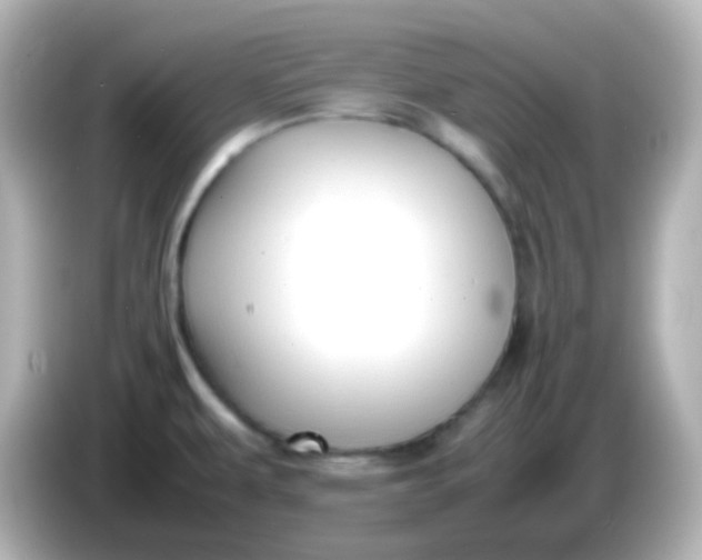 X0000086061479200704091219