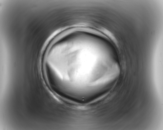 X0000086061480200704091218