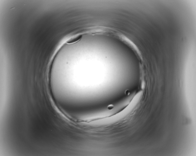 X0000086061483200704091218