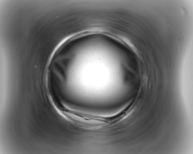 X0000086061484200704091218