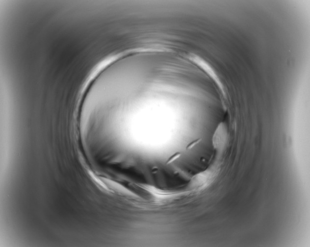 X0000086061485200704091218