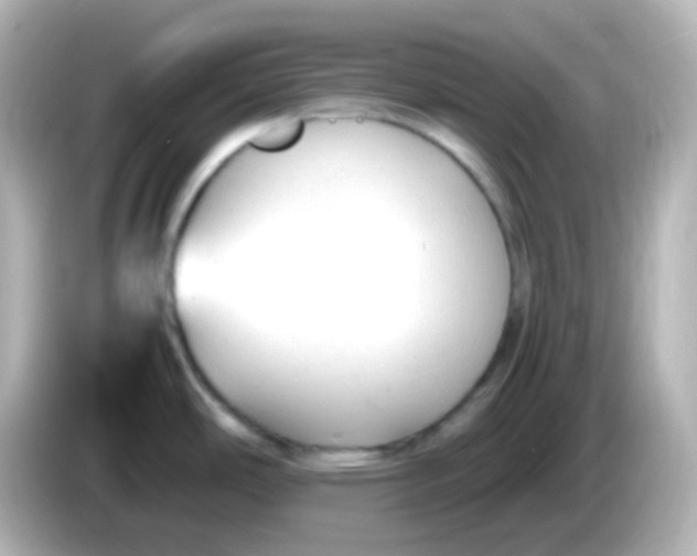 X0000086061486200704091218