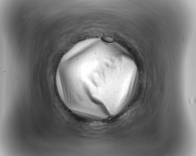 X0000086061489200704091218