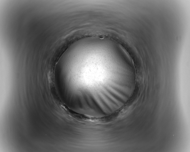 X0000086061490200704091218