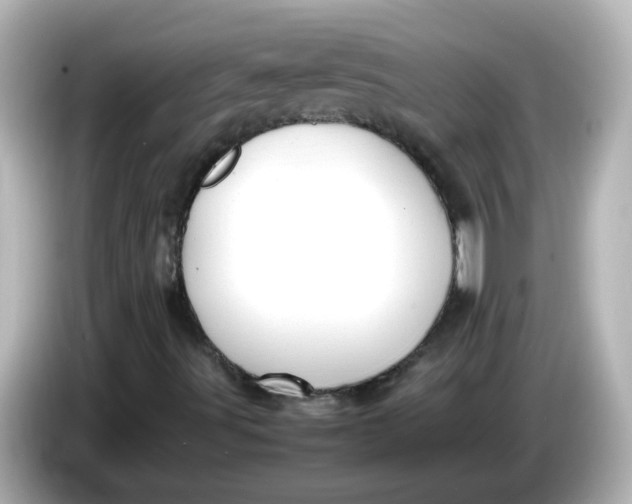 X0000086061491200704091218