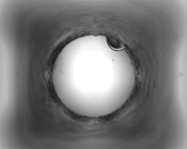 X0000086061495200704091218