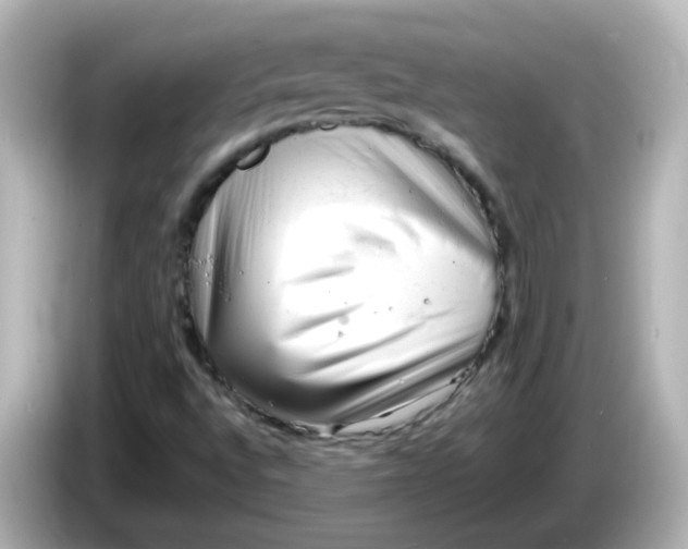 X0000086061496200704091218