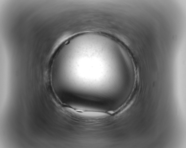 X0000086061501200704091218