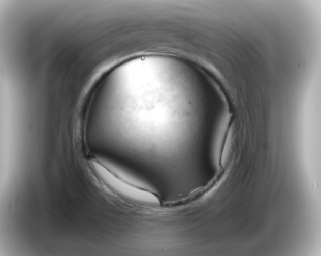 X0000086061506200704091218