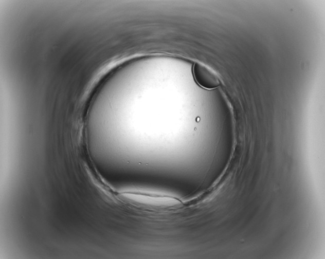 X0000086061507200704091218