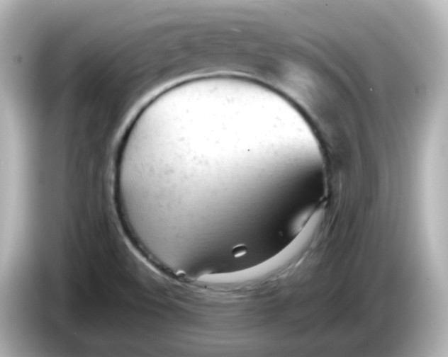 X0000086061508200704091218