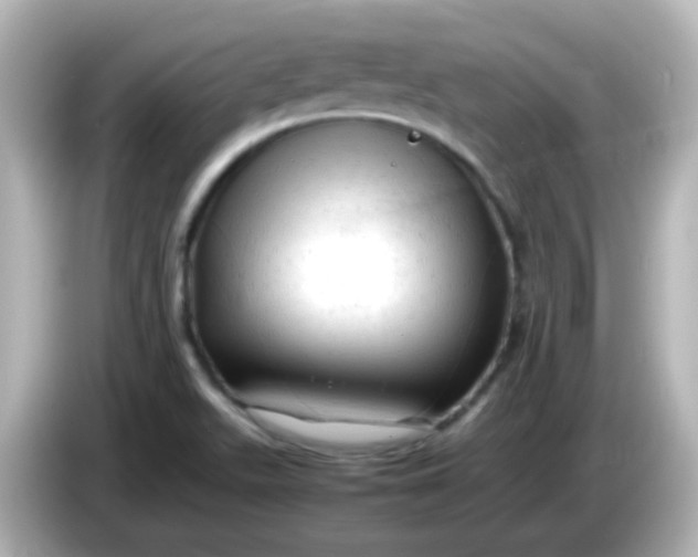 X0000086061511200704091218