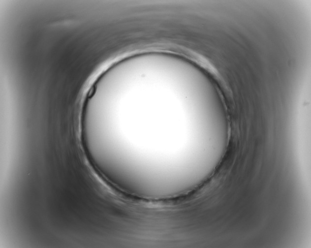 X0000086061512200704091218