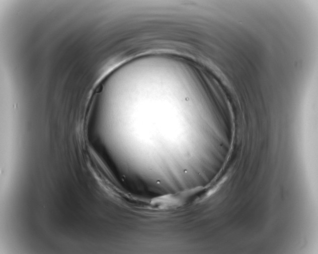 X0000086061513200704091218