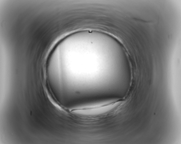 X0000086061515200704091218